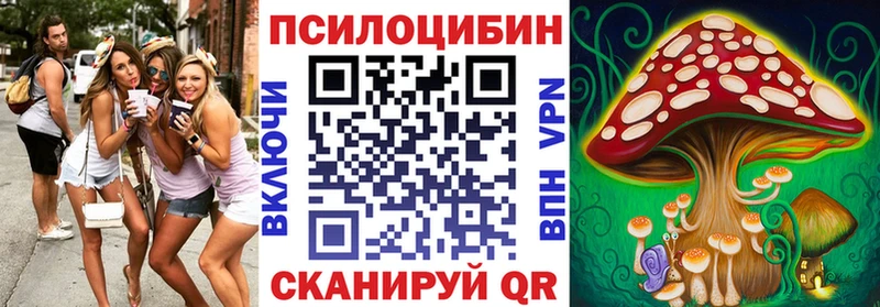 купить наркотик Иланский Псилоцибиновые грибы Magic Shrooms