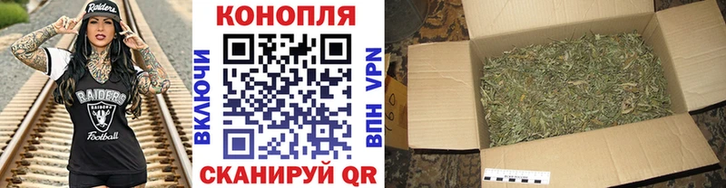 Бошки марихуана MAZAR  Иланский 